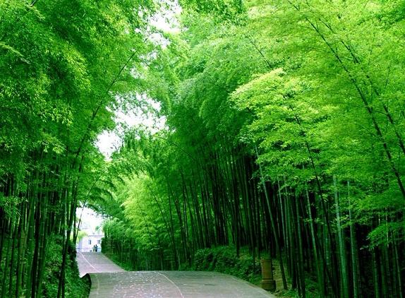 溧陽(yáng)天目湖兩天一夜游